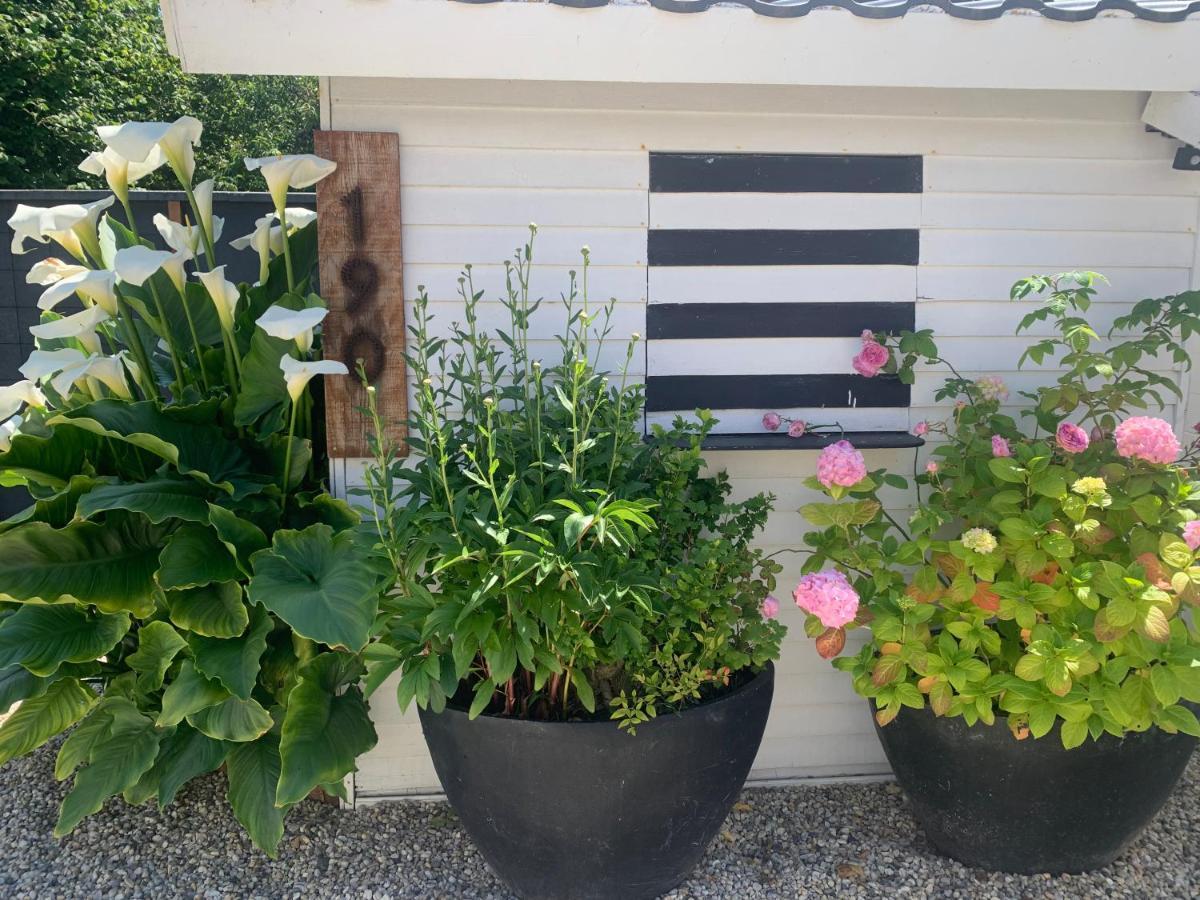 Cottage Le Cerf-Volant Saint-Aubin-Sur-Mer  Exterior foto